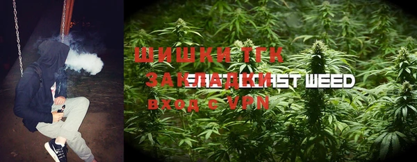 трава Алзамай