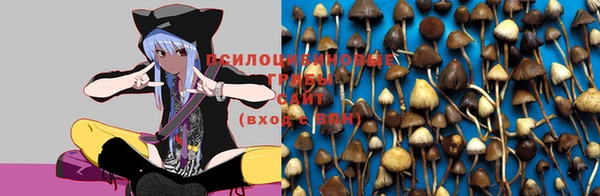 трава Алзамай