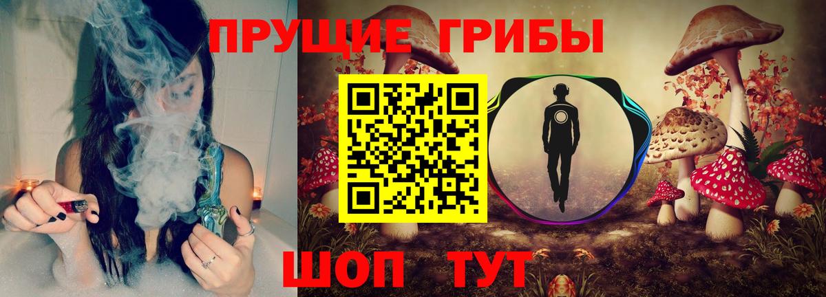 Псилоцибиновые грибы Psilocybine cubensis  Вход с VPN  Красноармейск 